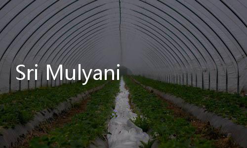 Sri Mulyani Bawa Kabar Baik: APBN April Cetak Surplus Lagi!